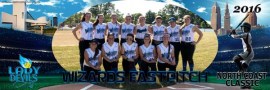 Wizards Fastpitch 14u